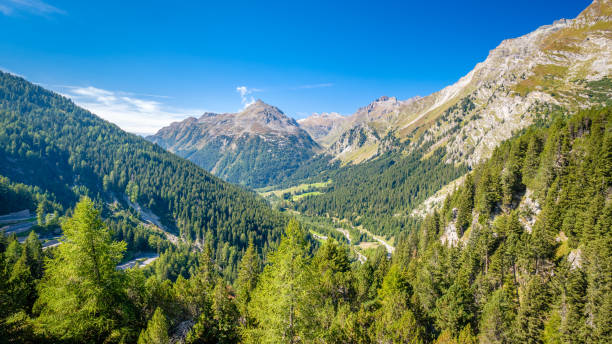 blick vom malojapass (schweiz) ins val bregaglia - engadine alps landscape autumn european alps stock-fotos und bilder