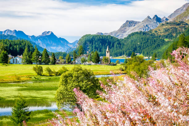 гостиница идет к озеру силс (верхняя долина энгадин, граубюнден, швейцария) - engadine alps landscape autumn european alps стоковые фото и изображения