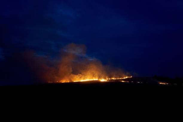 istock burning at night on a mountain,dry grass burns at night 1248795153