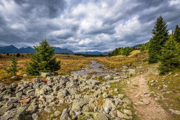 istock Walking trail from Bergkastel (Austria) to raised bog Plamort (Italy) 1248796009