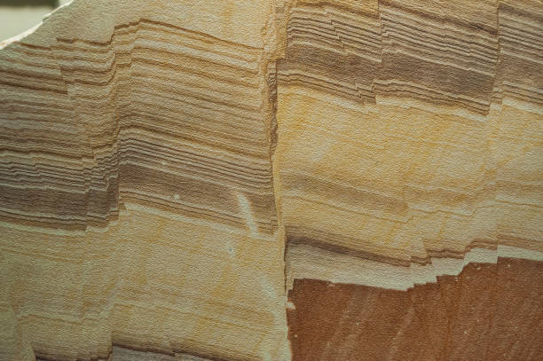 Sandstone with fault from the Black Hills of South Dakota Sandstone with fault from the Black Hills of South Dakota fault geology stock pictures, royalty-free photos & images