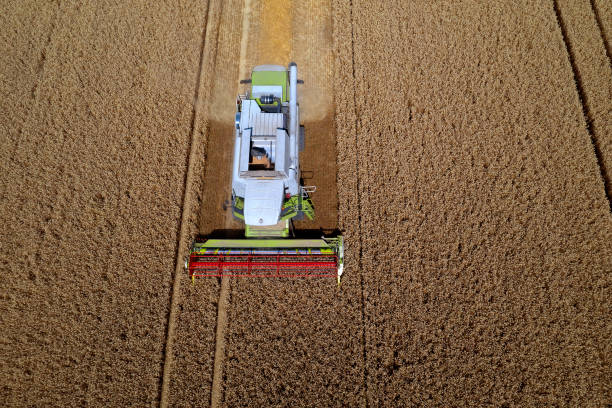 istock Harvesting a wheat field, aerial view 1248797774