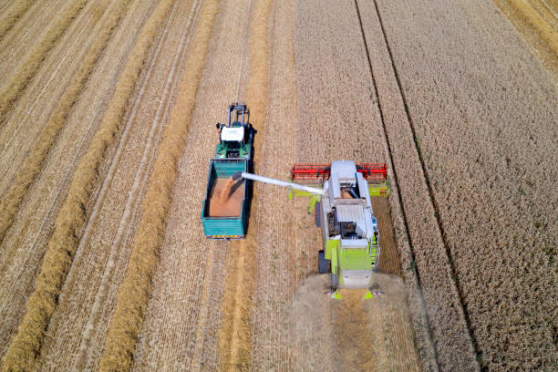 istock Combine harvester and tractor with trailer, aerial 1248798018