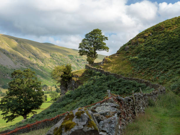 istock Country path along a farm wall 1248799886