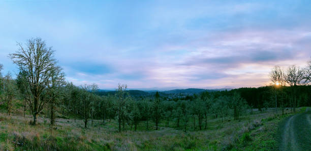 Trail at Chip Ross Access in dusk, Corvallis, Oregon