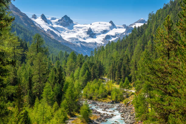 la splendida natura della valle del roseg (engadin, grigioni, svizzera) - engadine foto e immagini stock