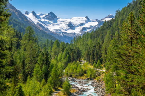 wspaniała przyroda doliny roseg (engadin, graubünden, szwajcaria) - engadine zdjęcia i obrazy z banku zdjęć