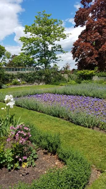 istock Garden at Harkness State Park 1248801837