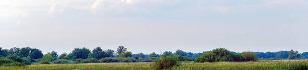 istock Panorama of a large green meadow on cloudy day 1248801867