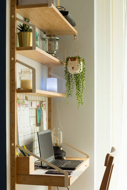 Small working from home area, with desk and decorations.