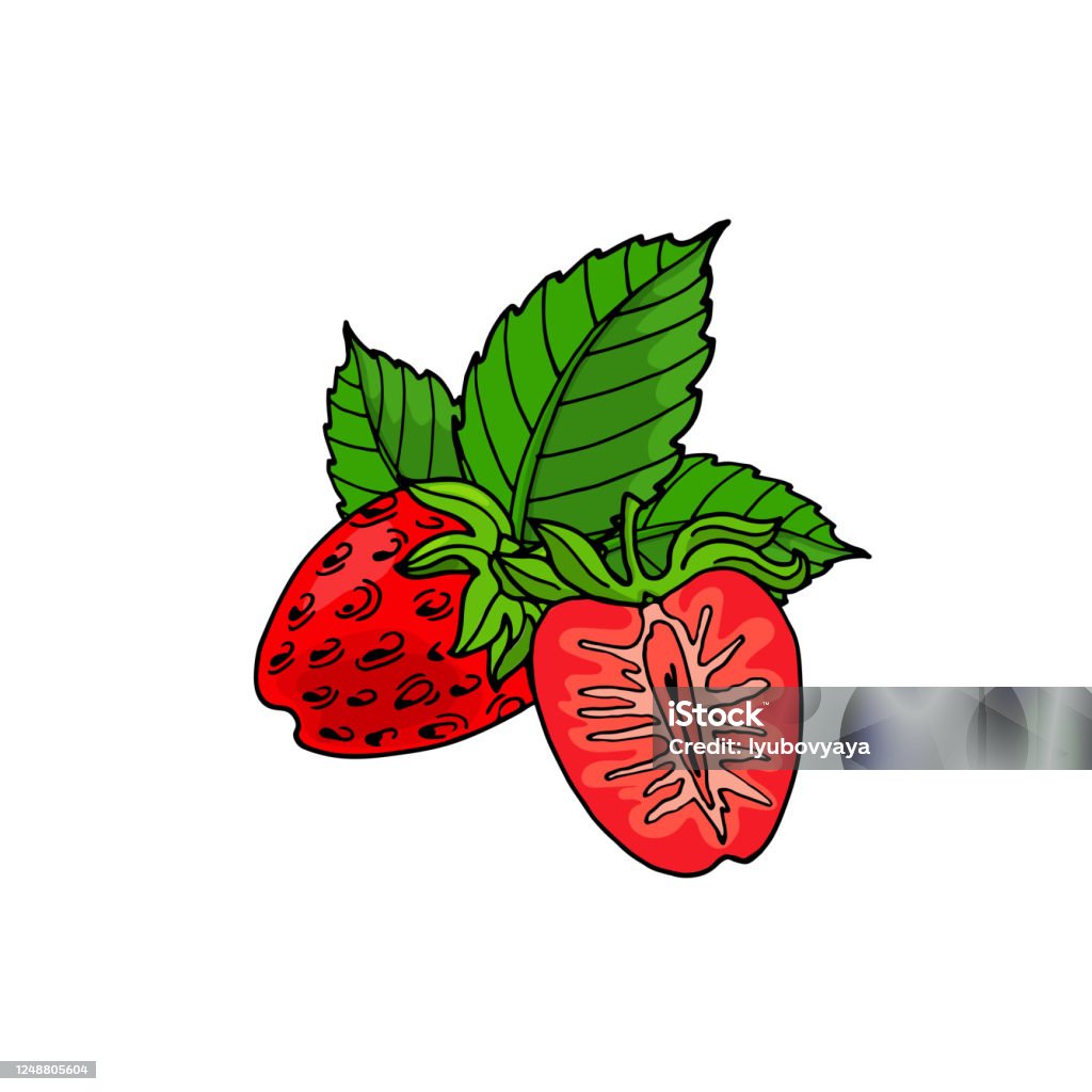Ilustración de Bonitas Fresas Rojas De Dibujos Animados Y Hojas Ilustración  Dibujada A Mano Vectorial Con Fruta Para Niños y más Vectores Libres de  Derechos de Alimento - iStock