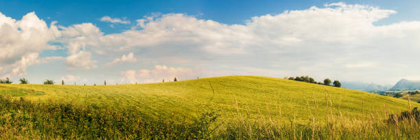 istock Countryside on spring, green meadows and hills 1248805818