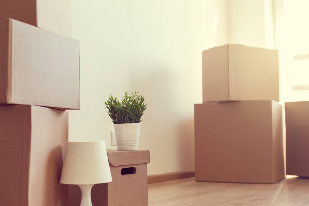 istock Crop of  boxes in apartment, moving concept 1248807450