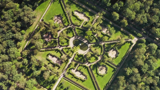 Bushes maze in  formal garden aerial top view at sunny day