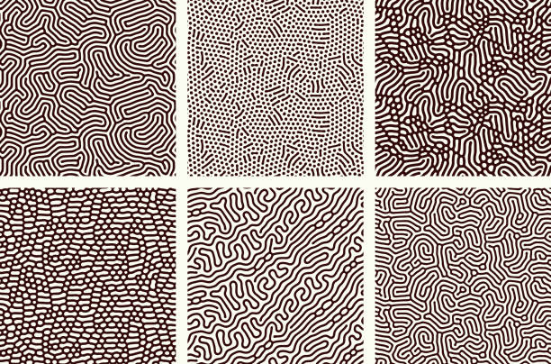 abstrakcyjne organiczne tła. - natural pattern stock illustrations
