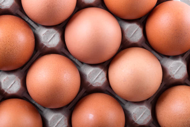 istock Fresh eggs in box, closeup on white background 1248808707