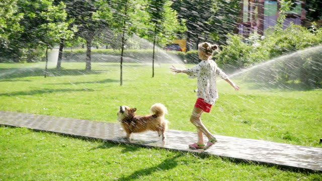 child girl playing with the dog at the park lawn with pouring sprinklers
