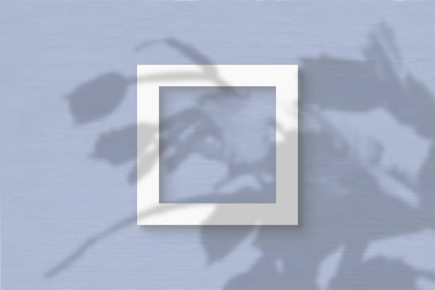 istock The square sheet of white textured paper on the blue wall background. Mockup with an overlay of plant shadows. Natural light casts shadows from the leaves of an exotic plant. Flat lay, top view 1248817762