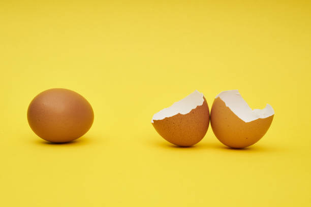 istock Chicken eggs whole and parts. Half an egg, egg yolk, shell. 1248826562