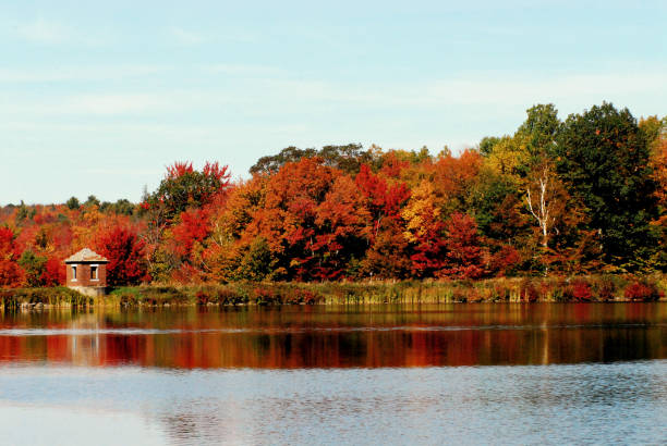 istock AUTUMN-FALL- New York State- Fall Colors Reflected in a Lake 1248826984