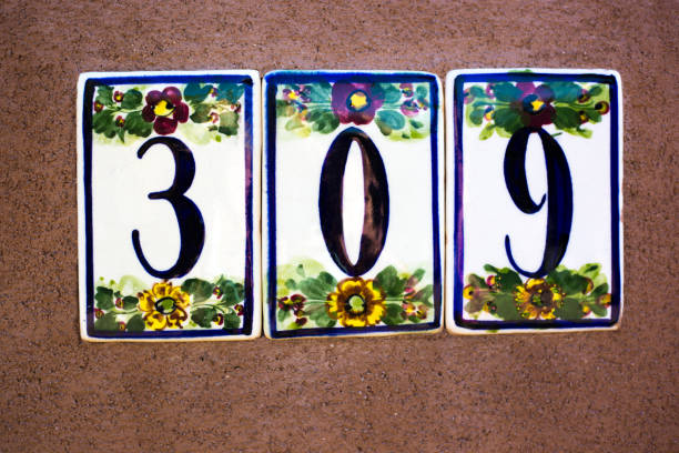 istock Ceramic Number 309 Street Address Tile; Brown Wall 1248830071