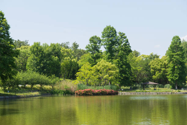 istock Senri Minami Park 1248834224