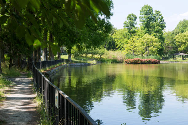 Stepping stones on public park pond
