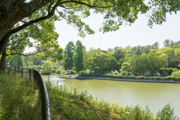istock Senri Minami Park 1248834280