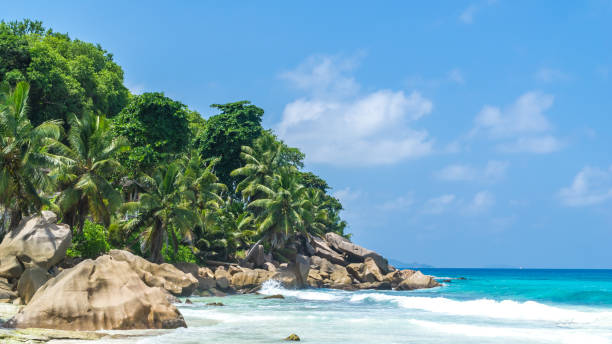 istock Panoramic view of nice tropical sandy beach with famous granite rocks 1248834926