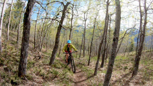 istock Female mountain biker rides e-bike through forest 1248839156