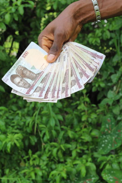 istock Nigeria Currency 1248839168