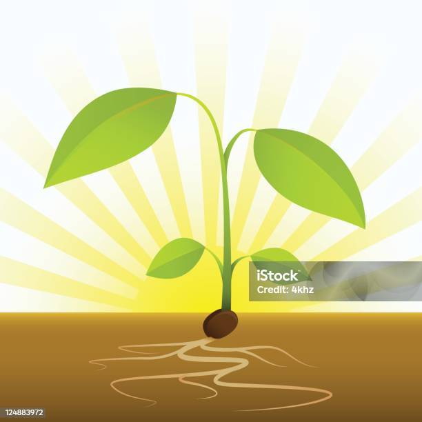 Verde Germoglio In Crescita Da Seme Con Radici Su Suolo - Immagini vettoriali stock e altre immagini di Agricoltura