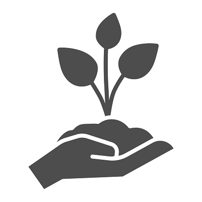 istock Young sprout with three leaves in hand solid icon, save nature concept, seedling with handful of soil on human palm sign on white background, young plant icon, glyph style. Vector graphics. 1248841437