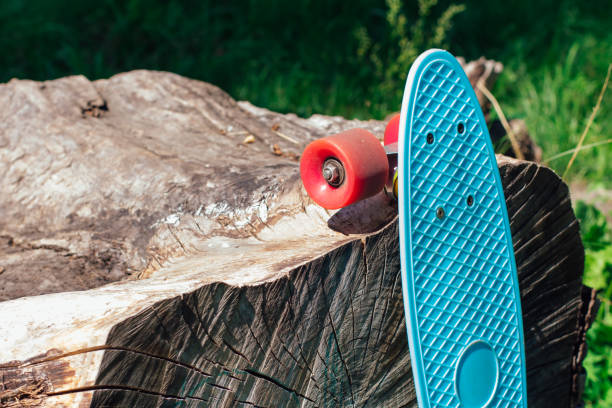 istock Blue penny board with pink wheels on stump. 1248841551