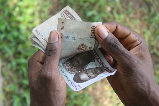 Nigeria Currency stock photo