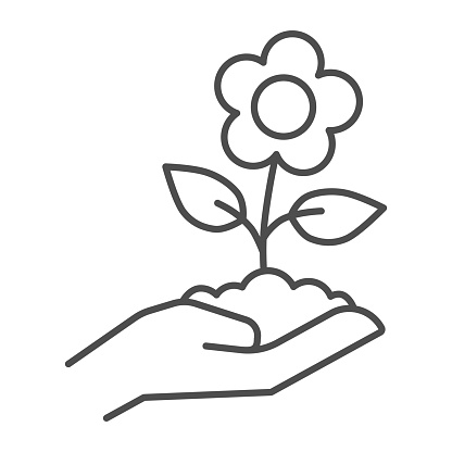 Flower in soil on human hand thin line icon, gardening concept, Spring flower with leaves sign on white background, hand holds handful of soil with flower icon in outline style. Vector graphics