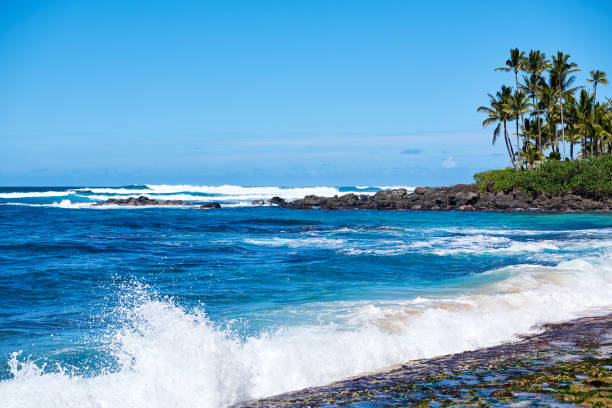 istock Saipan Seascape and Coastline, USA 1248861641