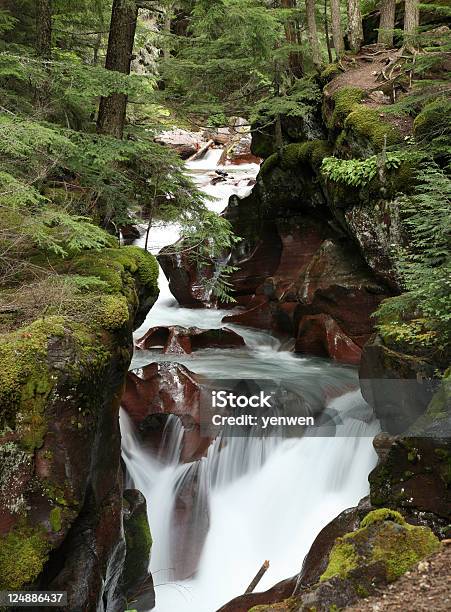 Foresta Creek - Fotografie stock e altre immagini di Acqua - Acqua, Acqua fluente, Ambientazione esterna