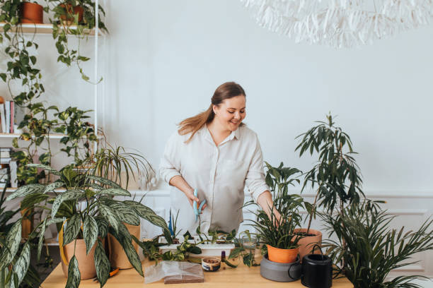 toma de cintura para una mujer sonriente más tamaño jardinería en casa - waistup fotografías e imágenes de stock