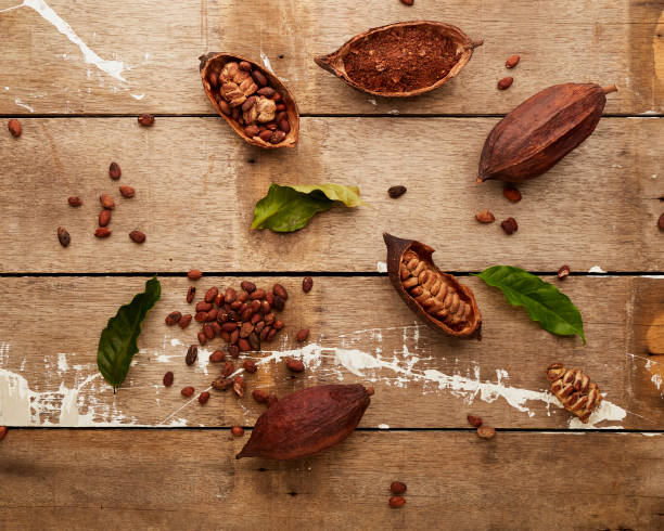istock Cocoa pods and cocoa beans, Cocoa powder ingredients 1248866099