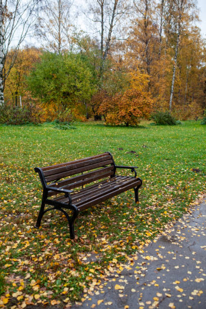 istock Autumn rainy day in the park. 1248868641