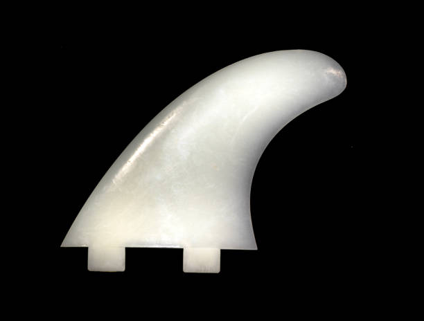 Surfboard fins on a black background