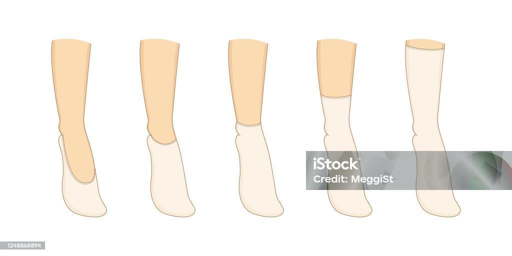 Socks Reference Socks Types Set Vector Illustration Stock Illustration - Download Image ...