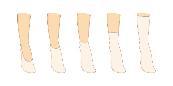 Socks Reference Socks Types Set Vector Illustration Stock Illustration - Download Image ...