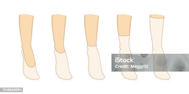 Socks Reference Socks Types Set Vector Illustration Stock Illustration - Download Image ...