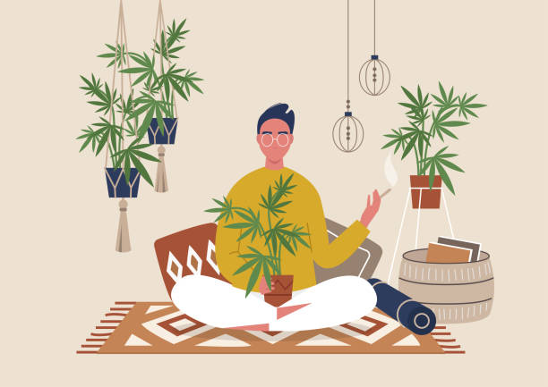 Young male character smoking weed indoor, cozy boho interior with pillows and plants, marijuana home farm Young male character smoking weed indoor, cozy boho interior with pillows and plants, marijuana home farm meditation room stock illustrations