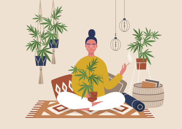 Young female character smoking weed indoor, cozy boho interior with pillows and plants, marijuana home farm Young female character smoking weed indoor, cozy boho interior with pillows and plants, marijuana home farm meditation room stock illustrations