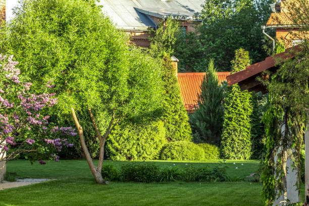 свежесрезанной травы - idyllic park formal garden nobody стоковые фото и изображения