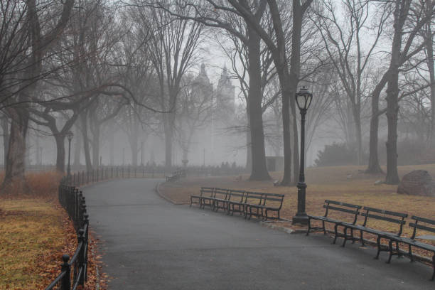 istock Drizzle and fog in the park 1248870258