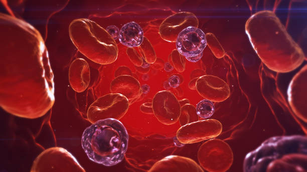 à l’intérieur du système vasculaire 03 - blood cell photos et images de collection